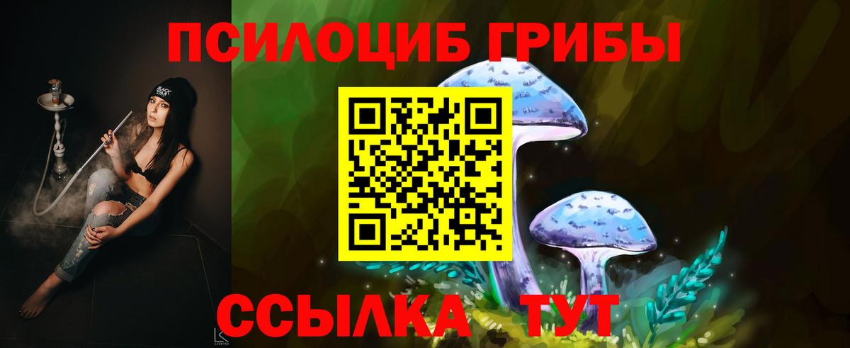 Галлюциногенные грибы MAGIC MUSHROOMS  Вход с VPN  Тосно 